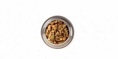 FREE BOWL